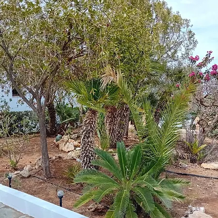 Thea Anissaras Seaview Apartment Hersonissos (Crete)